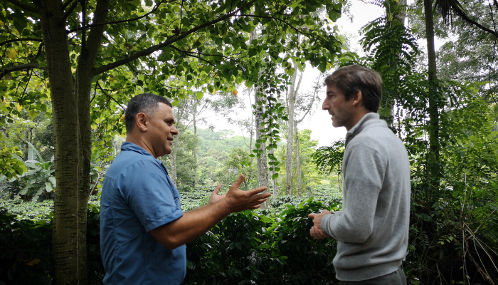 Je vous emmène goûter les cerises de caféier au Costa Rica...