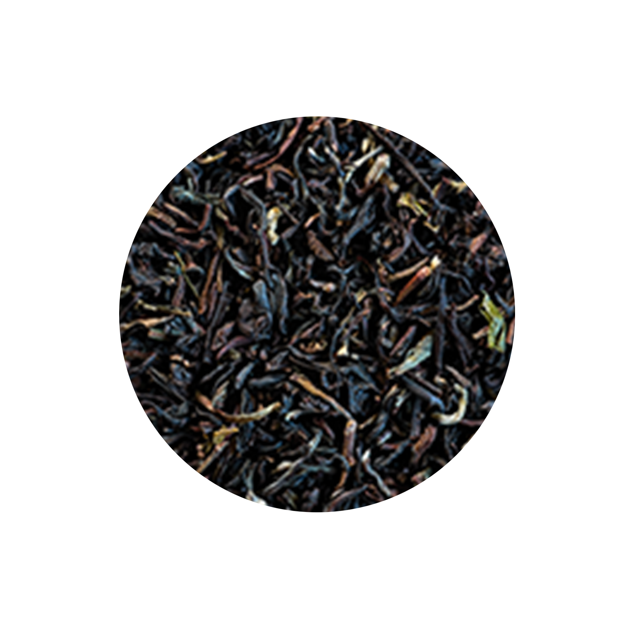 Thé Darjeeling TGFOP Makaibari Compagnie & Co